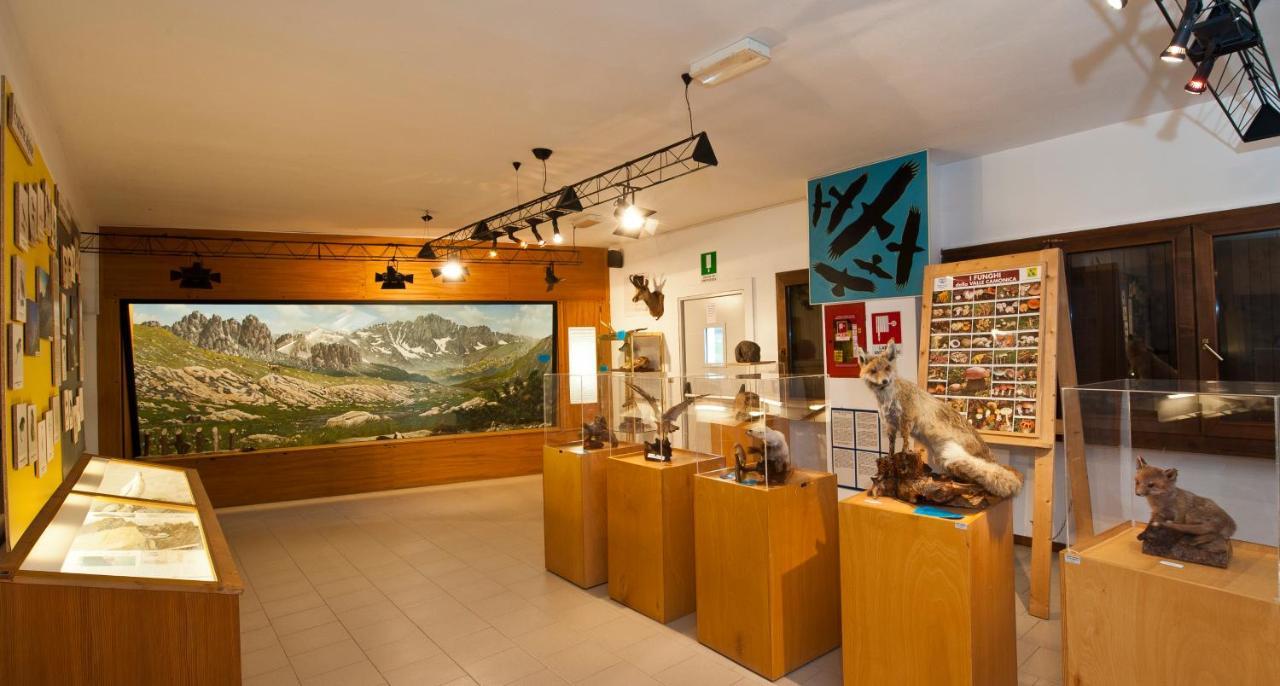Casa Del Parco Dell'Adamello Di Vezza D'Oglio Hostel Exterior photo